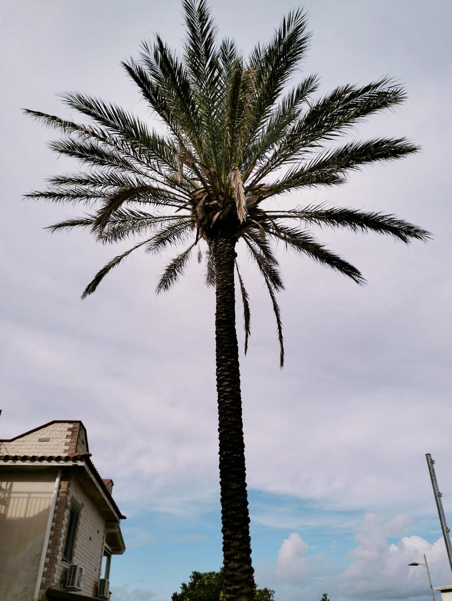 Casa Fronte Mare Holiday home Isola delle Femmine