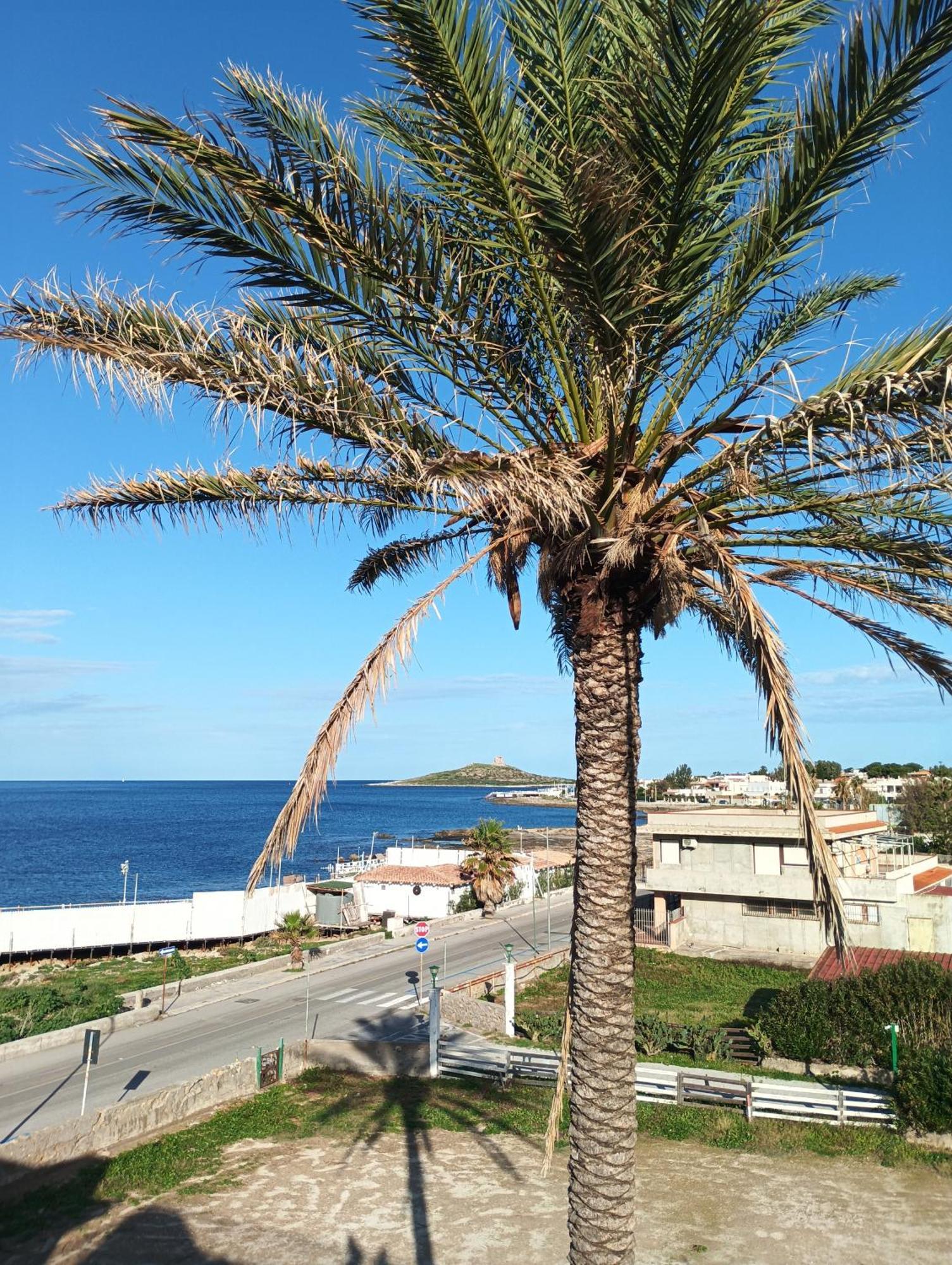 Casa Fronte Mare Holiday home Isola delle Femmine
